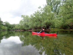 Phillippsbureg, 2 Tage Tour, Mai 2026